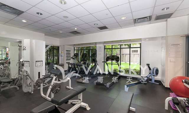 250429184127_950 gym.jpg